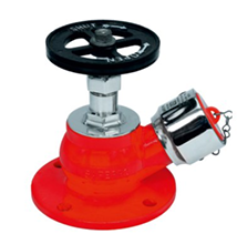 Mechanical Foam Fire Extinguisher